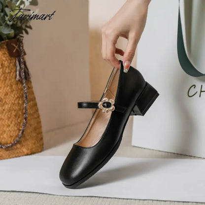 vzyzv -  spring and autumn women's high heels Korean style Mary Jane Stylish party and work wear Ladies casual leather shoes 41-43